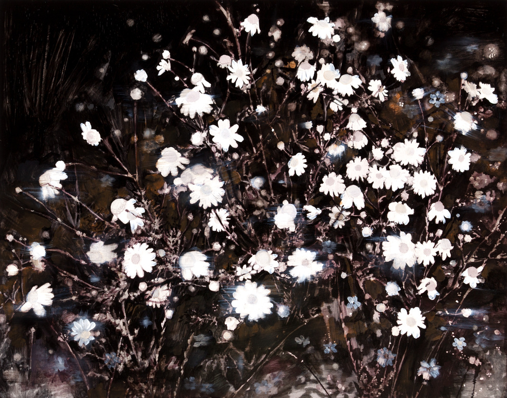 peinture sur bois d'un bouquet de marguerite en gros plan.