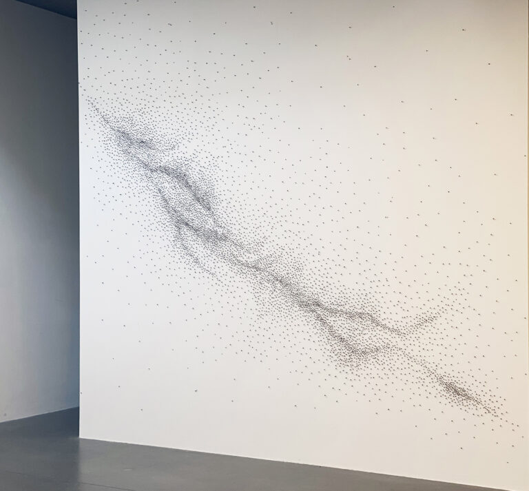 Installations sur un mur de clous de girofles qui forment une constellation.